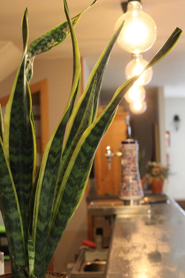 Hostal As Margaritas Santiago de Compostela Kültér fotó
